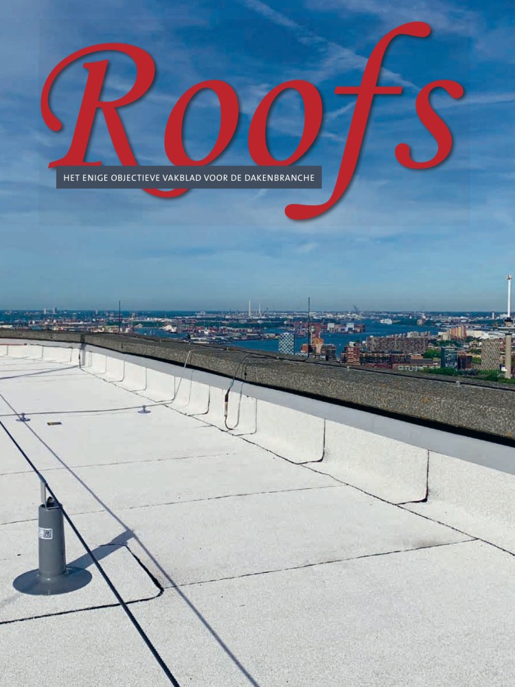 Roofs 2020-01