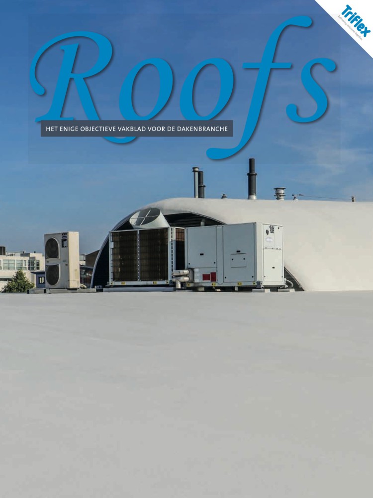 Roofs 2020-02