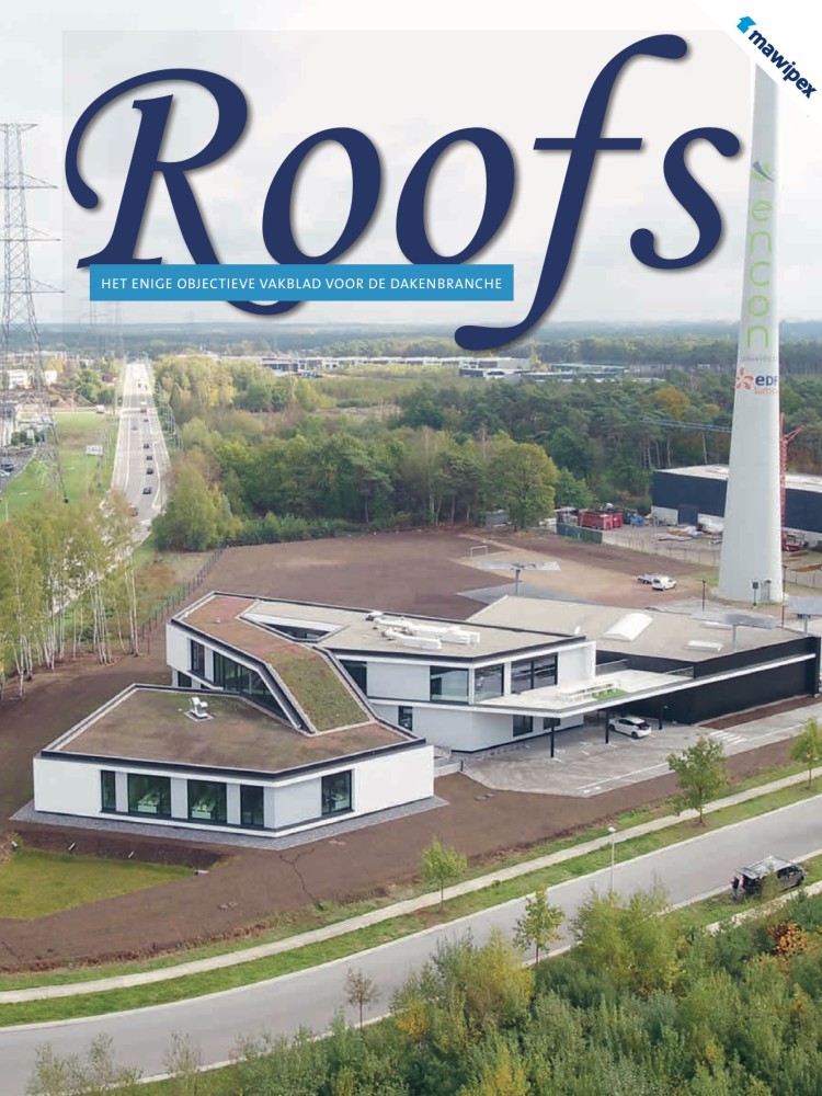 Roofs 2020-04