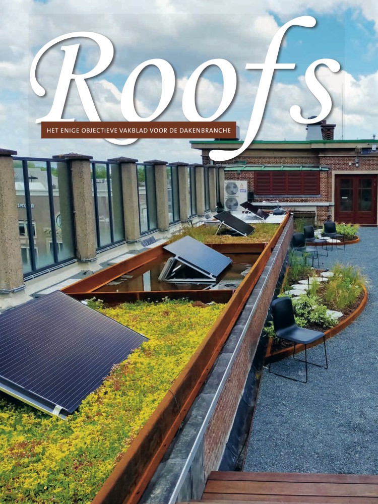Roofs 2020-08