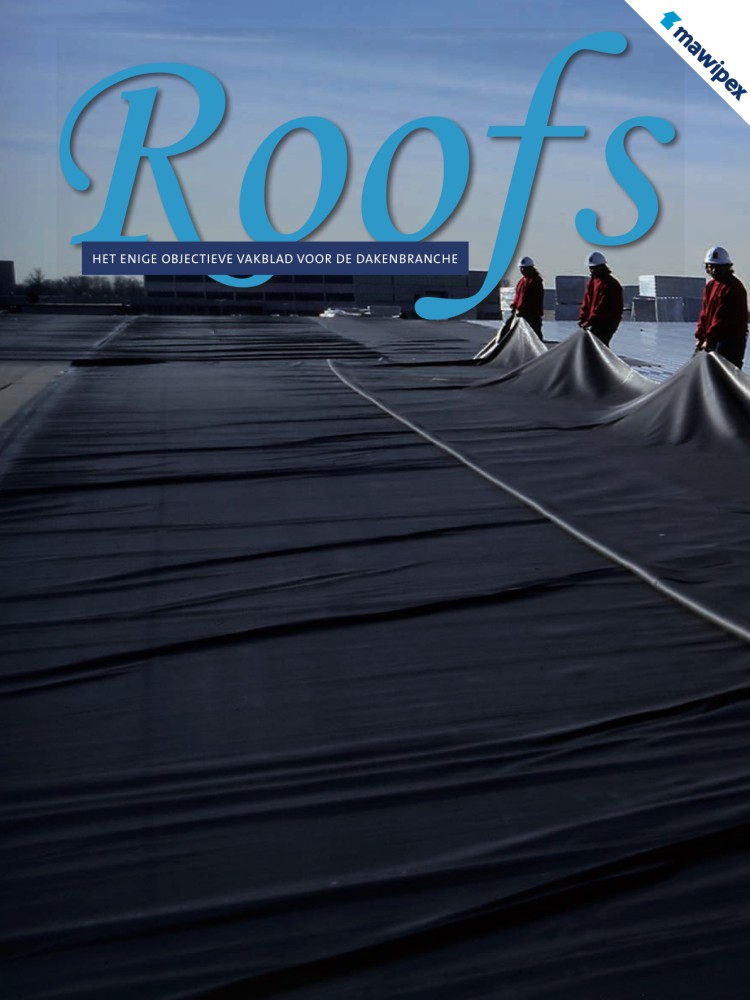 Roofs 2019-01