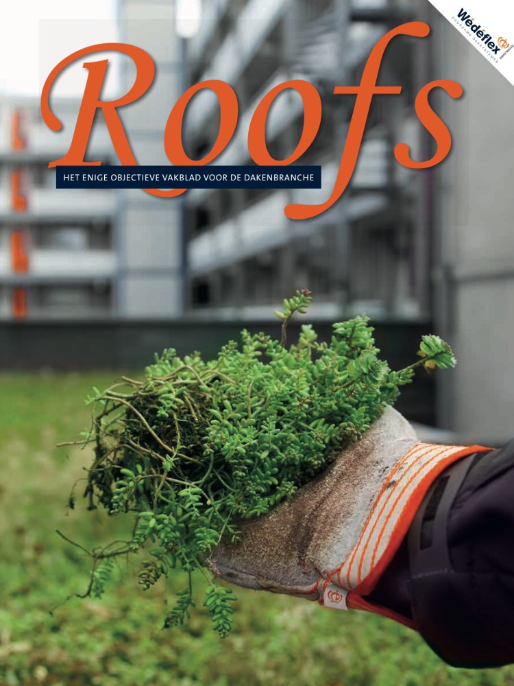 Roofs 2019-06