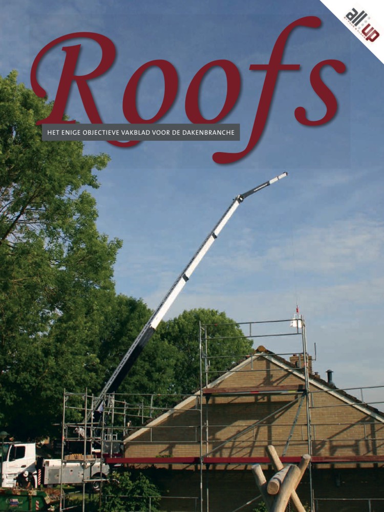 Roofs 2019-07