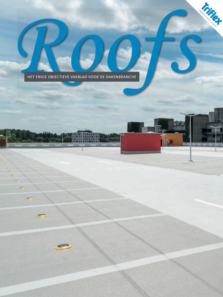 Roofs 2019-08