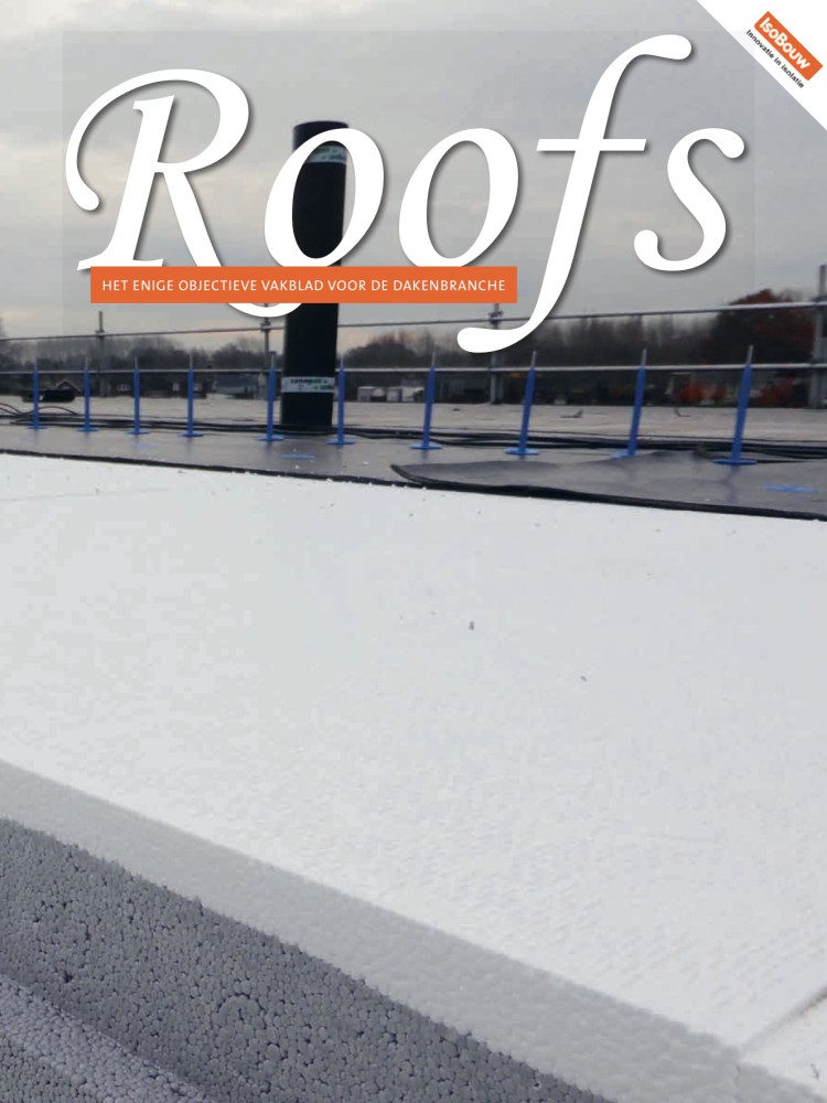 Roofs 2019-11