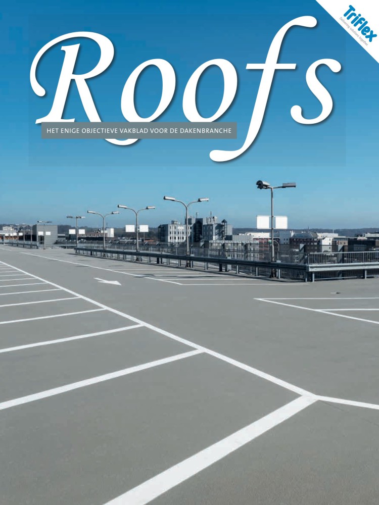 Roofs 2018-10
