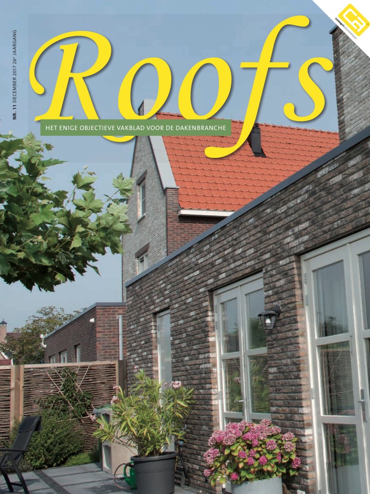 Roofs 2017-11