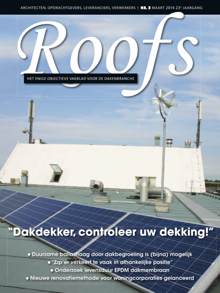Roofs 2014-03