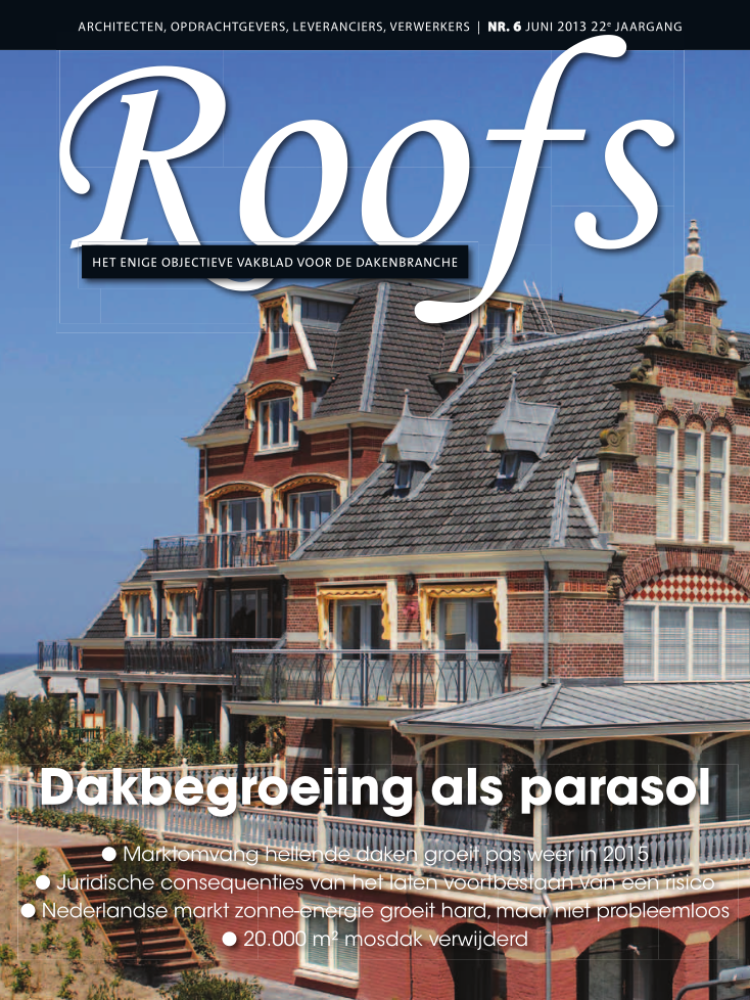 Roofs 2013-06
