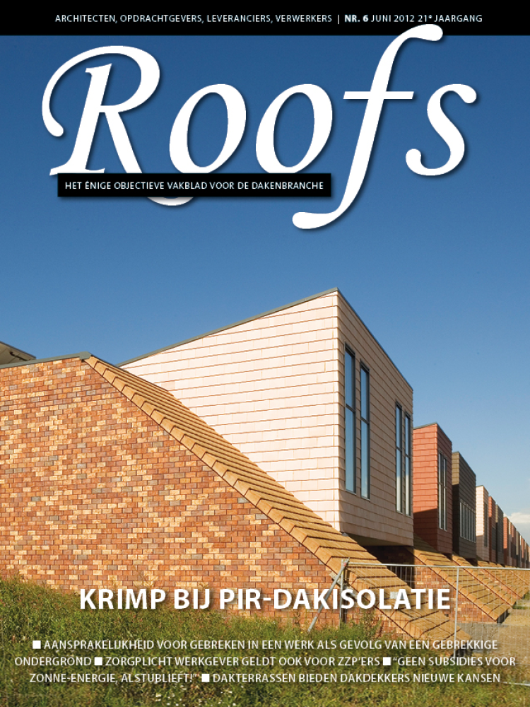 Roofs 2012-06