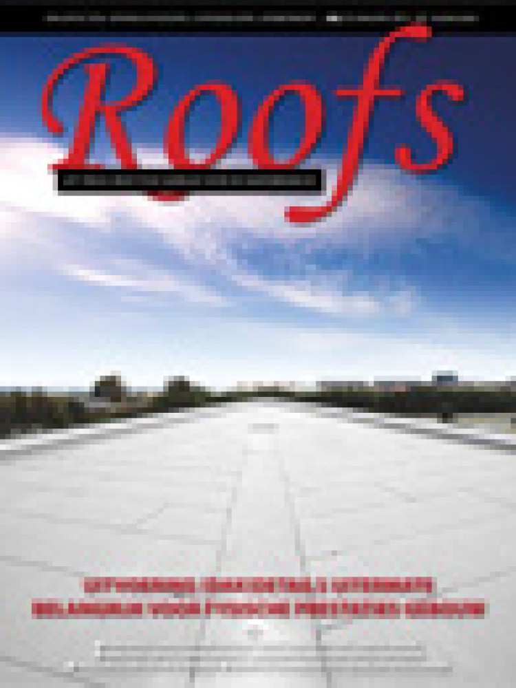 Roofs 2011-01