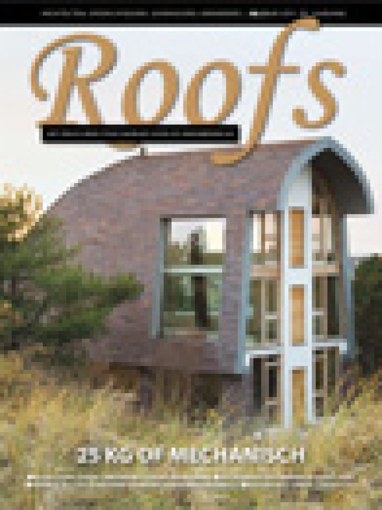 Roofs 2011-05