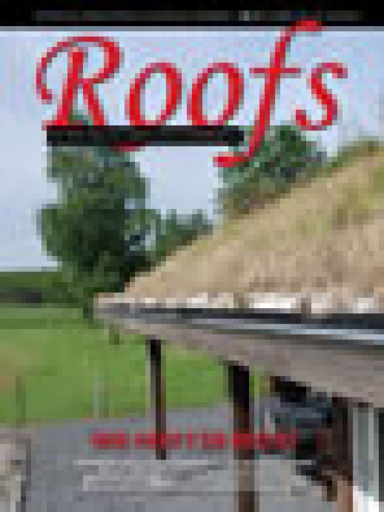 Roofs 2011-08