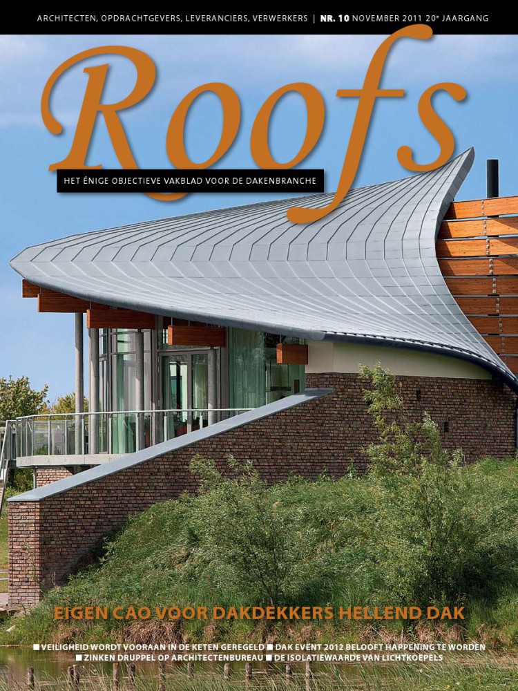 Roofs 2011-10
