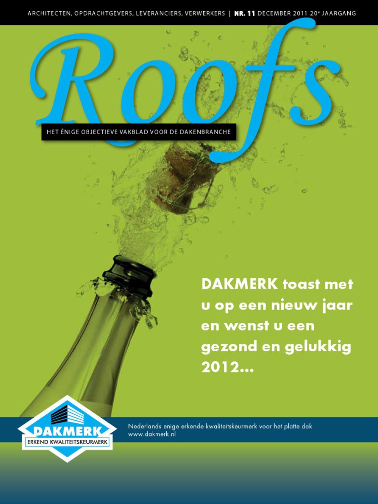 Roofs 2011-11